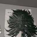 Preserved Real Ferns Dried Tips Stems Wedding Garlands Home Decorations Bouquets Flower Arrangements Wall Hanging (Dark Green)