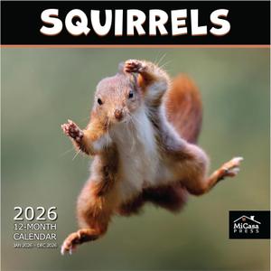 MICASA PRESS Squirrels 2026 Wall Calendar 12 Month | 12 x 24 Open | Thick & Sturdy Paper | Giftable | Funny Animal Calendar 2026