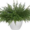 12 Pcs Artificial Norfolk Pine Branches - 18 Inch Faux Christmas Green Plants Greenery Stems Fake Cedar Pine Picks for Vase DIY Crafts Garland Wreath Accessories Xmas Indoor Outdoor Home Decor