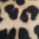 DweIke Leopard Print Rug for Living Room, Machine Washable 5x7 Cheetah Area Rugs for Bedroom, Non-Slip Low Pile Animal Hide Carpet with Rubber Backing for Dining Room Kitchen Home Decor,White Brown