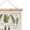 XIAOAIKA Botanical Fern Varieties Poster - Vintage Illustrated Guide with Wooden Frame - Educational Plant Wall Art for Home, Office, or Classroom Decor 20 x 30 Inches