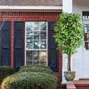 7ft Large Ficus Artificial Trees with Natural Curved Trunks, 84" Tall Lush Faux Tree for Home Decor Indoor, Green Lifelike Fake Ficus Tree Artificial Plants in Pot（Set of 2）