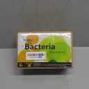 Bacteria Science Kit Petri Dishes with Agar Educational STEM Science Fair Project Kit for Kids Age 9 and Above