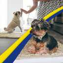 Muddy Mat® | Super Absorbent Door Mat Indoor, Microfiber Quick Dry Chenille Entryway Rug, Non-Slip Front Door Mat, Indoor Mats for Entryway, Machine Washable Pet Rug, Beige 28"x18"