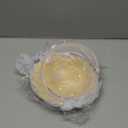 1 Pcs Ramadan Tray Decor Eid Mubarak Date Holder with Clear Dome Lid Mardi Gras Serving Tray 6.69" Metal Gold Eid Al-fitr Dessert Container for Nuts Baklava Samosa Halva Candies Cookies