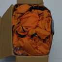 Inflatable Dinosaur Costume Adult&Kid, Blow Up Inflatable Trex Costume for Halloween Themed Party Cosplay