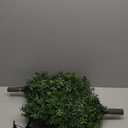 30inch Artificial Boxwood Plant with Ground Spike, Topiary with Stake for Outdoor (Set of 2)