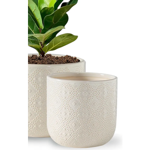 Docrin Ceramic Plant Pots Indoor, 6.5+4 Inch Planters with Drainage Holes for Home/Office - Set of 2 / White