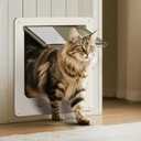 LIBBEPET Thin Cat Door, Safety Pet Door for Cats Up to 25 lbs, Interior Cat Door with 4 Way Locking for Window, Sliding Door and Cat House, Easy to Install, Extra Large