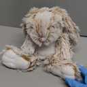 Bunny Microwavable & Weighted Stuffed Animals - 1.5 Lbs Unscented Heating Pad for Period Cramps Pain Relief and Anxiety, Cute Bunny Plush Toys Gifts for Women Girls Adults and Kids by Happy Fuel