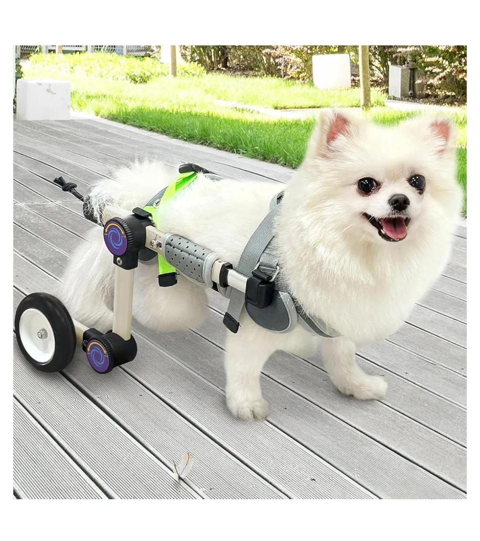 Dog Wheelchair for Back Legs, Adjustable Mobility Cart for Dog Light weight Hind Leg Support Wheelchair for Disabled Dog, Stable Cart Helps Walking, Exercise & Mobility, 4wm