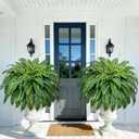 2 Pcs 48 Inch Fake Ferns, Look Real 101 Leaves Artificial Boston Ferns for Outdoors Large, Lush UV Resistant Faux Ferns for Outdoor Planter Large, Outdoor Faux Plants for Porch Patio Home Decor