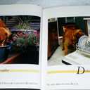 101 Uses for a Golden Retriever