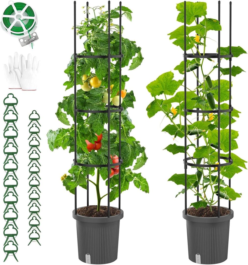 2 Pack Raised Garden Bed Tomato Planter with Trellis, Self Watering Planter Box with Trellis for Climbing Plants Outdoor, PE Coated Metal Tomato Cage Plant Support for Flowers Vegetable Indoor