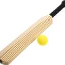 Cricket for Parent Sports Game Pattern Cricket Bat and Ball Fun Interactive Beach for Boys