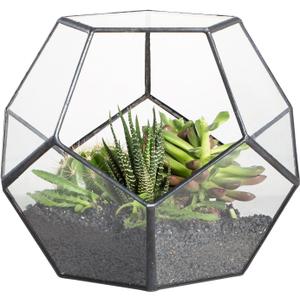 NCYP Small No Door Terrarium Planter - 6.8" x 6.8" x 5.9" Open Geometric Glass Terrarium Pot for Mini Succulents, Small Cactus - Home Tabletop Miniature Decor, Black (No Plants)