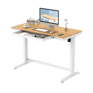 Electric Standing Desk with Drawers Charging USB Port, Height Adjustable 48" Whole-Piece Quick Install Home Office Computer Laptop Table with Storage