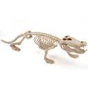 JOYIN 28" Skeleton Crocodiles Halloween Decorations with Posable Joints, Plastic Skeleton for Halloween Party Outdoor Indoor Decor, Spooky Animal Courtyard Yard Patio Lawn Garden Props Decor(1PCS)