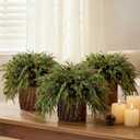 3 Sets Christmas Norfolk Pine Stems with Pinecones Berries 12 Inch Faux Artificial Greenery Plants Norfolk Branches Picks Christmas Table Decor for Vase Xmas Home Garland Decor (Pine Cones)