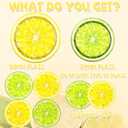 Lemon Plates And Napkins Decorations,lemon Party Decorations Lemon Birthday Tableware For Citrus Bridal Shower Decorations Summer Fruit Themed Party Supplies