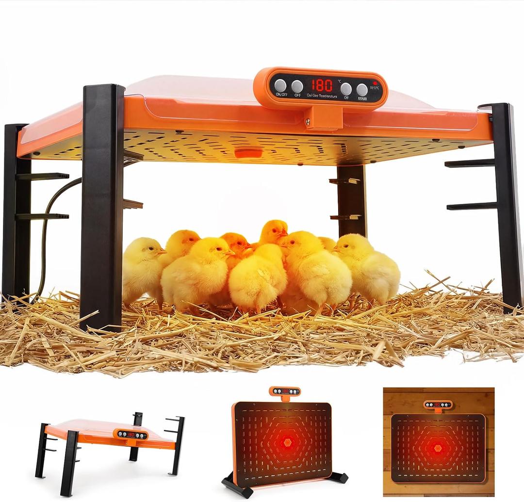 Smart Brooder Plate with Temperature Display & Adjustable Height, 11 x 15 Inch Chick Heat Plate for 20 Chicks, Memory Function and Overheat Protection for Safety, Anti-Roost Design