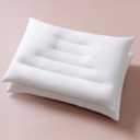 Pozino Flat Thin Pillows for Sleeping - 2 Pack Queen Size Slim Bed Pillows for Side Back Stomach Sleepers,2.5 inch Height Ultra Low Pillows,Down Alternative Filling