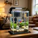 Vimvins 3 Gallon Glass Fish Tank with Filter and Light, Small Betta Aquariums Starter Kit.