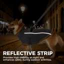 Dog Jackets for Small Dogs Boy, Reflective Fleece Dog Sweater Coat with D-Ring Zipper Up Warm Winter Cold Weather Doggy Clothes, Grey Medium