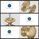 30 Pack Cabinet Knobs 1-3/16 Inch Round Champagne Bronze Dresser Drawer Knobs Zinc Alloy Hardware with Wide Base for Kitchen Bedroom Bathroom