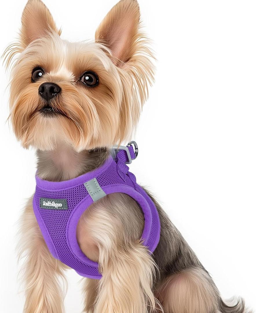 rabbitgoo Small Dog Harness, Step-in Soft Mesh Puppy Vest with Safety Buckle, Breathable Reflective Pet Harness for Small Sized Dogs, Purple XS(Chest:13.3"-15.5")
