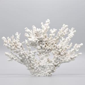 White Resin Coral Ornament Mediterranean Style Coral Decorative Resin Statue (Length 12.6 inches)