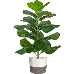 BESAMENATURE Artificial Fiddle Leaf Fig Tree/Faux Ficus Lyrata for Home Office Decoration, 30.5" Tall, with Cotton Rope Basket (White and Brown Basket)