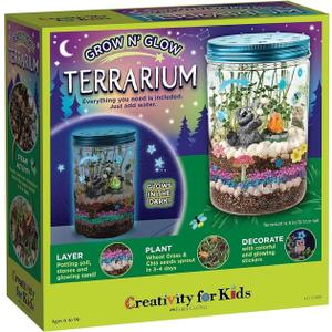 Creativity for Kids Grow 'N Glow Terrarium