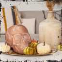 Halloween Terracotta Color Plastic Skull 5.9 Inch Life Size Human Skeleton Head Model for Halloween Indoor Outdoor Decor Party Centerpiece