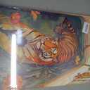 2 x Tiger in Bathtub Canvas Wall Art Funny Animal Bathroom Painting Picture Wall Decor Maximalist Trendy Dopamine Aesthetic Poster Print Artwork for Bathroom Toilet Home Decoration, 16x24in