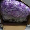 Tigeen 100 Pcs Hydrangea Artificial Flowers Bulk 7.48 Inch Artificial Hydrangeas with Removable Stems Faux Flowers Wedding Decor for Home Garden Party Decoration DIY Project (White,Purple)