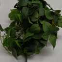 alyptus Fake Hanging Plants with Pot Artificial Decor Set of 2 Indoor Realistic Silk Devil's Ivy Hanging Potted Plants Faux Trailing Plant Pothos Vines for Office Shelf Decoration (Green)