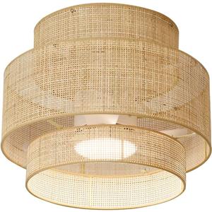 21 Inches DC Boho Bamboo LED Ceiling Fan with Light Fixture and Remote Control, Wicker Cage Small Rattan Caged 3 Blades Low Profile Dimmable Fandelier for Bedroom Kitchen Indoor Outdoor Room