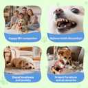 Puppy Play Gym with Hammock 8 Hanging Toys, Dog Jungle Gym Indoor Pets Cats Toys, Teething Chew Toys Puppy Gym Activities Center for Cats Adjustable Playground for Small Dogs at Home PVC Frame