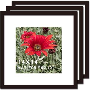 14x14 Picture Frame Black 3 Pack Solid Wood for Mat 10x10 Wall Mounting Square Poster Photo Frames
