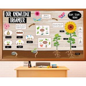2 x Summer Classroom Bulletin Board Decoration Back to School Bulletin Board Set Frog Butterfly Life Cycle Science Posters Sunflower Plant Growth Process Cutouts for Classroom Wall Teacher Supplies, 59.1 inches x 35.4 inches