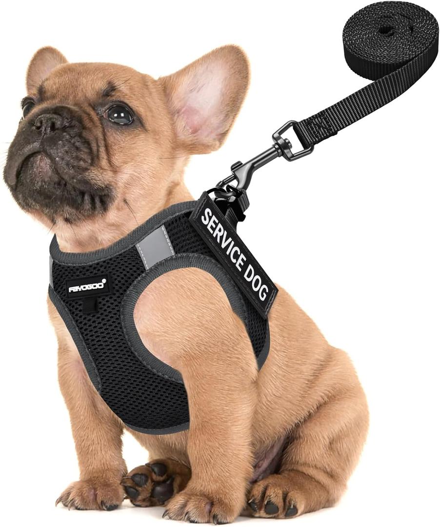Fayogoo Service Dog Vest for Small Breed - Lightweight Dog Harness with 6PCS Removable Patches - Puppy Harness and Leash Set for Walking,Training, Small