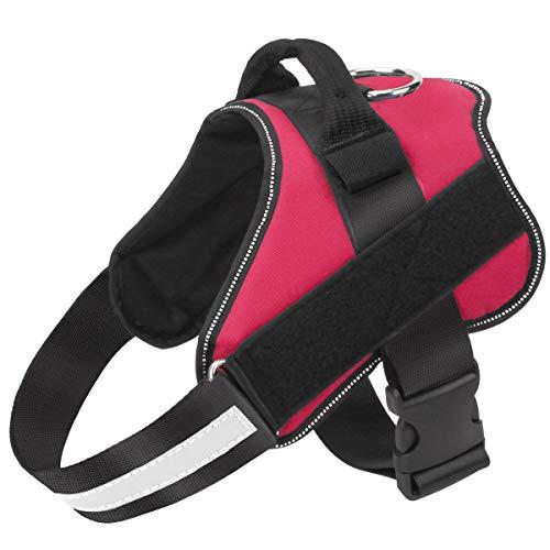 Essential Dog Harness, No-Pull Pet Vest with 3 Leash Clips, No Choke, Reflective, Adjustable and Padded, for Easy Walking and Training for Small, Medium and Large Dogs (Mustang Red, L)