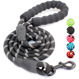 BAAPET Dog Leash with Comfortable Padded Handle and Highly Reflective Threads for Small Medium and Large Dogs (5FT-1/ 2'', Black)
