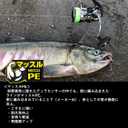 Daiwa PE Line UVF PE Dura Sensor x 8 + Si2, No. 0.4 to 6, Multicolor, Lime Green (multicoloured)