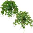 Hollyone Artificial English Ivy Hanging Plants 2pcs Faux Ivy Vines with Black Pot Small Fake Potted Greenery Plant for Indoor Home Aesthetic Living Room Bathroom Desk Shelf Office Decor