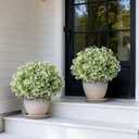 Set of 2 Artificial Boxwood Topiary Ball Trees for Front Door - Realistic Faux Aglaia Odorata Bush with Pot, Fake Eucalyptus Leaves Potted Plants for Porch Farmhouse Outdoor Decor (White-Green)