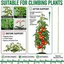 Plant Stakes Natural Bamboo Sticks - 25 Pcs Bamboo Garden Stakes for Plants 3 FT Plant Support Sticks with Twist Ties for Tomatoes Beans Orchid Flowers Indoor Outdoor Potted Climbing Plants