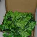 TOCHGREEN 48 PCS Artificial Silk Leather Leaf Fern Picks Artificial Greenery Stems Fake Artificial Fern Leaves Faux Fern Plant Bouquet for Floral Arrangement Home Wedding Garden Cemetery Centerpiece