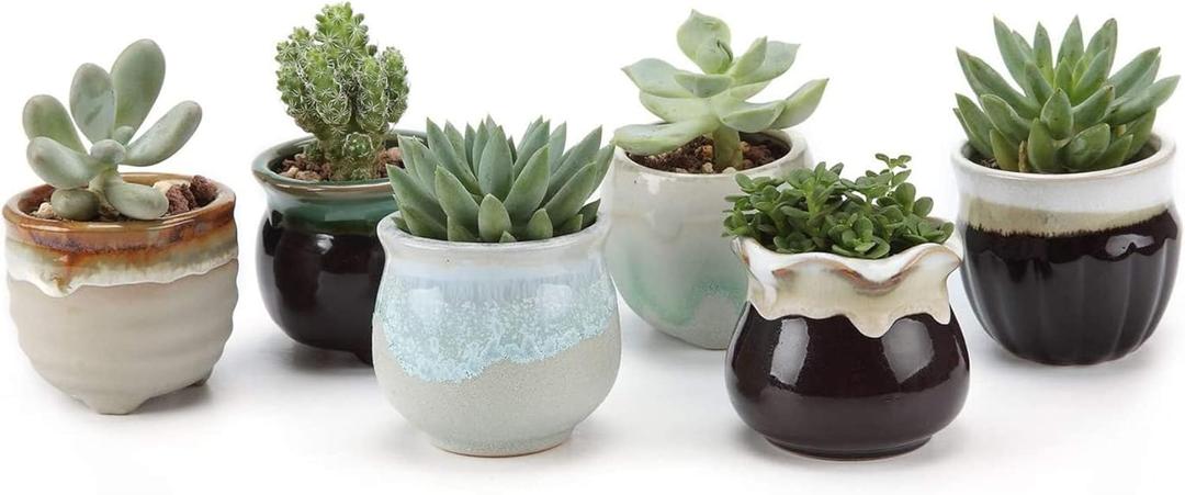 T4U Mini Ceramic Succulent Pots with Drainage - Set of 6, Tiny Pots for Plants, Home and Office Decor, Plant Lover Gifts for Women (Flowing Glazed)